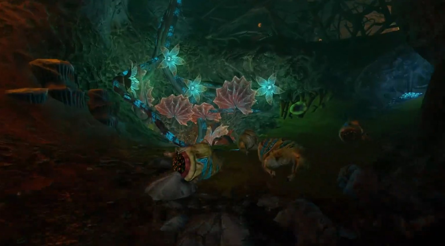 BM Xen 彩色扇形 flora