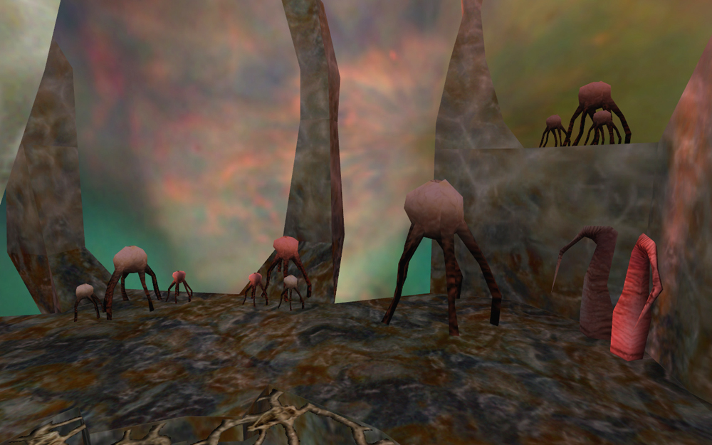 Fungi group